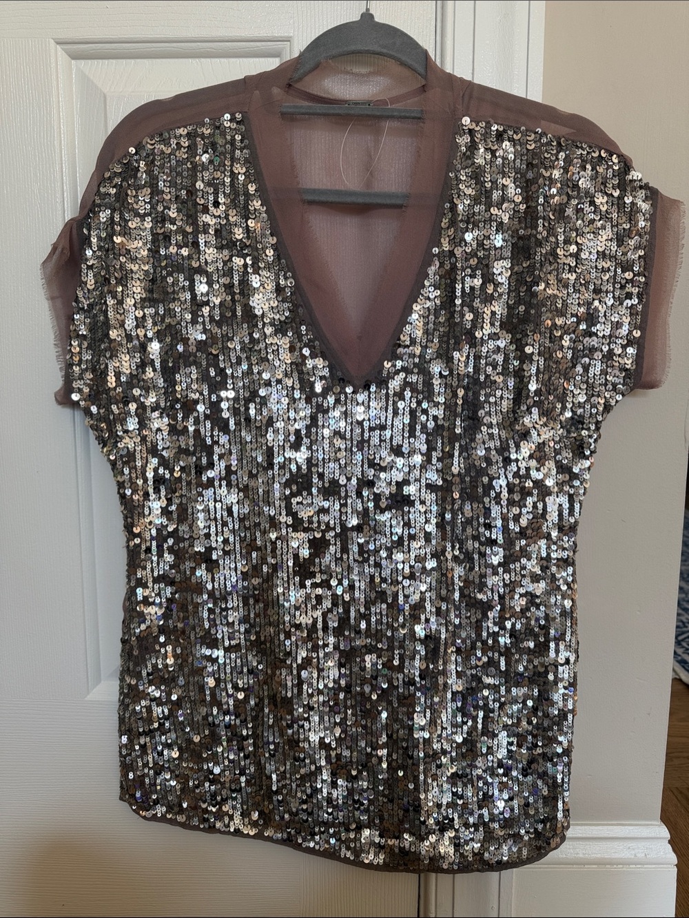 Chan Luu Silver Sequin V-Neck Top with mauve/taupe silk/ Mesh, size S